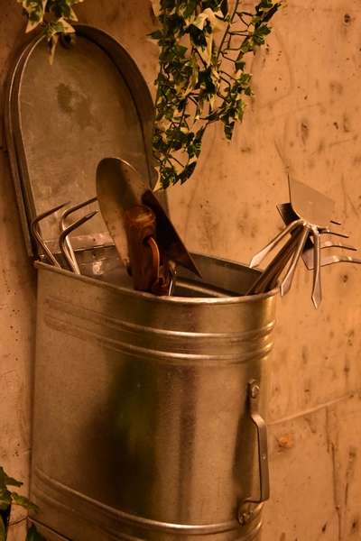 Kitchen Yard on Friday Night